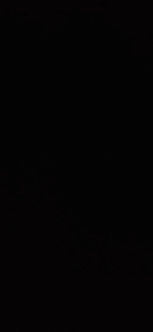 A61f6674307d84503a28cab85c2ea5e30v.jpg